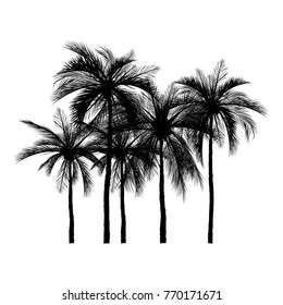 vector of palm tree silhouette icons on white background, coconut tree flat icon for vacation apps and websites.