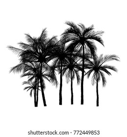 vector of palm tree silhouette icons on white background, coconut tree flat icon for vacation apps and websites.
