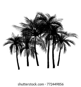 vector of palm tree silhouette icons on white background, coconut tree flat icon for vacation apps and websites.