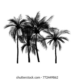 vector of palm tree silhouette icons on white background, coconut tree flat icon for vacation apps and websites.