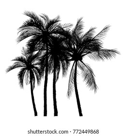 vector of palm tree silhouette icons on white background, coconut tree flat icon for vacation apps and websites.