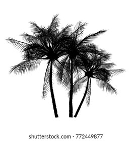 vector of palm tree silhouette icons on white background, coconut tree flat icon for vacation apps and websites.