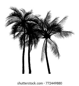 vector of palm tree silhouette icons on white background, coconut tree flat icon for vacation apps and websites.