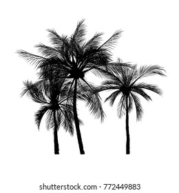 vector de iconos de silueta de palmera en fondo blanco, icono plano de árbol de coco para aplicaciones de vacaciones y sitios web.