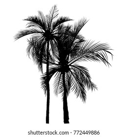 vector of palm tree silhouette icons on white background, coconut tree flat icon for vacation apps and websites.