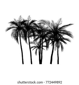 vector of palm tree silhouette icons on white background, coconut tree flat icon for vacation apps and websites.