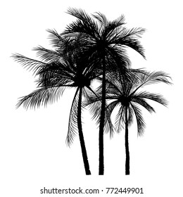vector of palm tree silhouette icons on white background, coconut tree flat icon for vacation apps and websites.