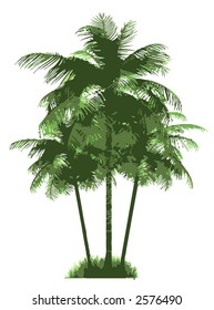 vector palm trees