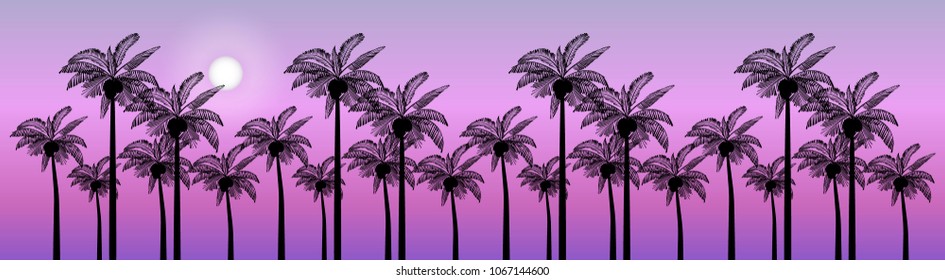 Vector Palm trees illustration for your business. Evening landscape of palm trees.