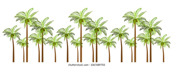 Vector Palm trees illustration for your business. Palm trees isolated on white background.