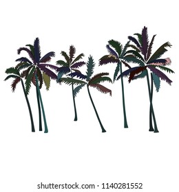 Vector of Palm Trees  isolated on white. Group.