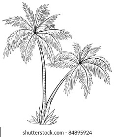 Featured image of post Coconut Tree Picture Drawing : Here presented 52+ coconut tree pictures drawing images for free to download, print or share.