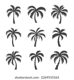 Vector Palm Trees, Palm Tree Icon Set Isolated. Palm Silhouettes. Design Template for Tropical, Vacation, Beach, Summer Concept. Vector Illustration. Front View
