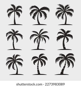Vector Palm Trees, Palm Tree Icon Set Isolated. Palm Silhouettes. Design Template for Tropical, Vacation, Beach, Summer Concept. Vector Illustration. Front View