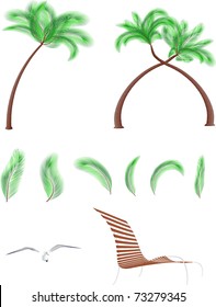 vector palms and elements of beach