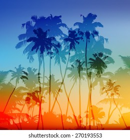 Vector palms silhouettes vector tropical sunset background