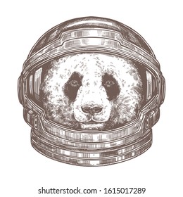 Vector panda astronaut in cosmonaut helmet. Cute animal in the space in spacesuit. Bear in the galaxy, adventure across the univerce. Sketch drawing, illustration for poster or t-shirt