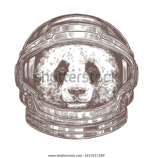 コスモナウトヘルメットをかぶったベクターパンダ宇宙飛行士 宇宙服の中のかわいい動物 銀河系にクマ 宇宙 を越えて冒険する スケッチ図面 ポスターまたはtシャツのイラスト のベクター画像素材 ロイヤリティフリー