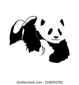 vector panda black and white bear lies bamboo animal