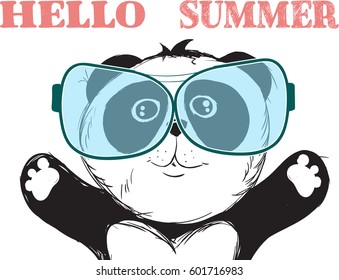 Vector Panda, illustration panda, vector illustration. Animal vector.