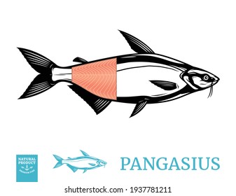 Vector pangasius fish illustration with fillet isolated on a white background