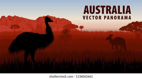 vector panorama of Australia with ostrich Emu and kangaroo