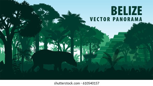 vector panorama of Belize with jungle raimforest, tapir and ancient Mayan ruin