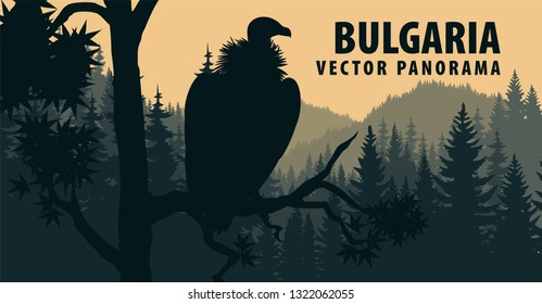 vector panorama of Bulgaria with Griffon vulture