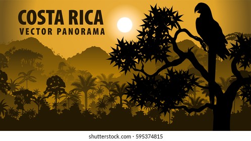 vector panorama of Costa rica with jungle raimforest with ara macaw parrot