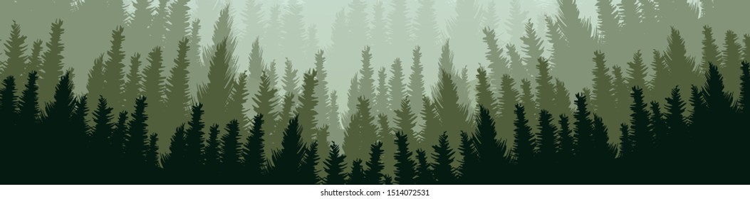 Vector Panorama Green Pine Forest,landscape background,foggy and mist concept design.