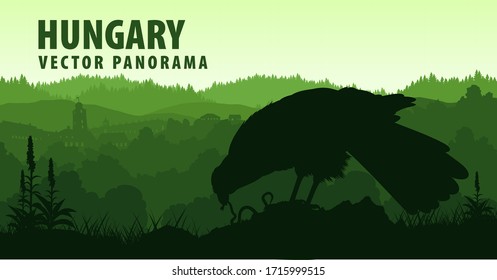 vector panorama of Hungary with turul eagle