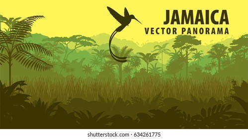 vector panorama of Jamaica with jungle and hummingbird