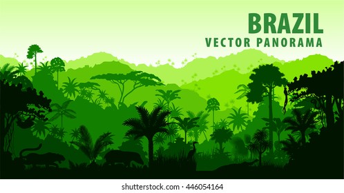 Vector panorama with Jungle Rainforest - Brazil, South America