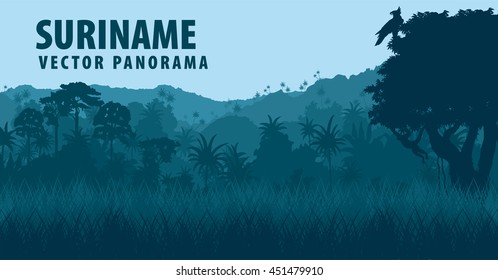 Vector Panorama With Jungle Rainforest - Suriname, South America