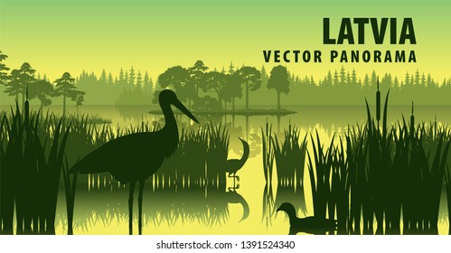 vector panorama of Latvia with black stork