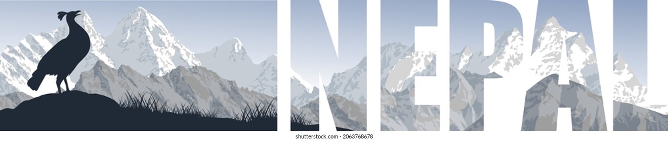 vector panorama of Nepal with himalayan monal