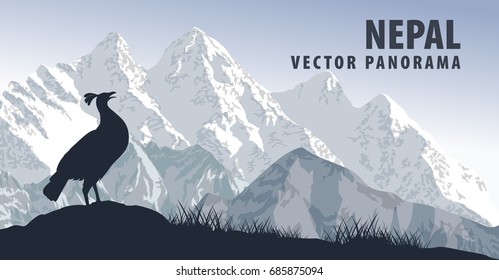 vector panorama of Nepal with himalayan monal