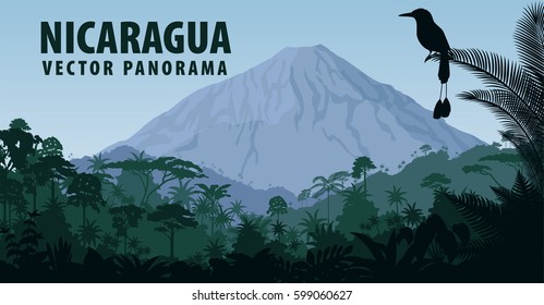 Vector Panorama Of Nicaragua With Vulcano In Jungle Rainforest And Turquoise Browed Motmot 