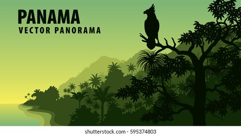 vector panorama of Panama with jungle raimforest with harpy eagle