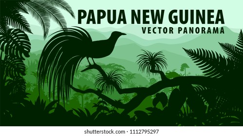 vector panorama of Papua New Guinea with lesser bird of paradise