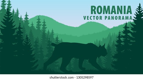 vector panorama of Romania with wild bobcat lynx