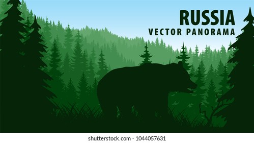 vector panorama of Russia with brown bear in woodland taiga forest