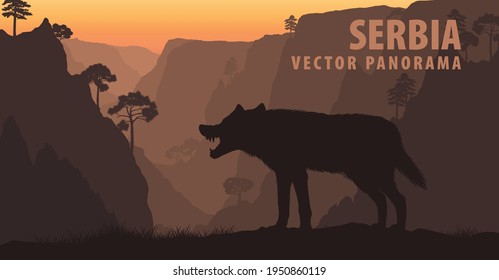 	
vector panorama of Serbia with gray wolf in Lazar's Canyon