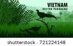 vector panorama of Vietnam with vietnamese pheasant in jungle rainforest