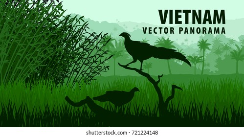 Vector Panorama Of Vietnam With Vietnamese Pheasant In Jungle Rainforest