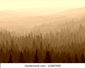 Vector panorama of wild coniferous forest in morning fog.