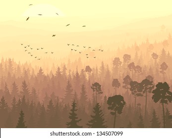 Vector panorama of wild coniferous forest with pines and flock of birds flying toward rising sun.