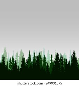 Vector panorama of wild coniferous forest with pines