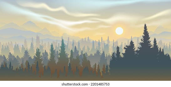 Vector panoramic landscape of forest in sunset with silhouettes of pine trees on mountain and hills background. Panorama scenery woodland pine forest in mountain range for wallpaper background.