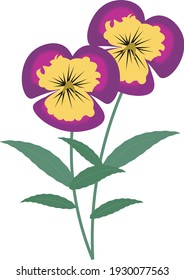 Vector pansies flower spring-summer green 2D image with leaves, blooming cartoon illustration, beautiful and bright. Ready for games and illustrations.